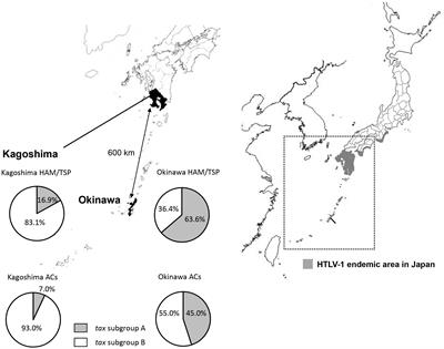 Association Between HTLV-1 Genotypes and Risk of HAM/TSP